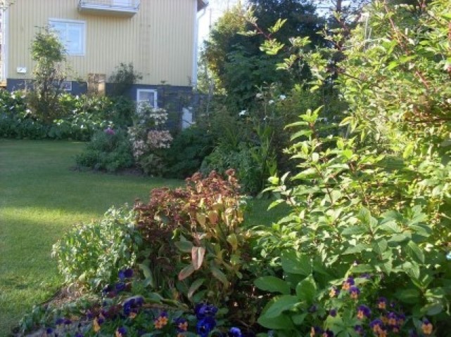 tuin gelegen in Zweden (poolcirkel)aangelegd met planten van Boomkwekerij De Bock