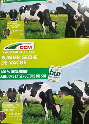 DCM Koemest