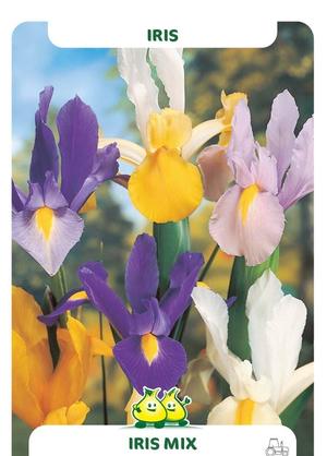 Iris MIX Iris MIX