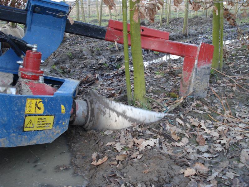 Ons bedrijf is uitgerust met een degelijk machinepark voor het rooien van bomen met blote wortel en met kluit.