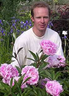 Paeonia lactiflora 'Sarah Bernhardt' 